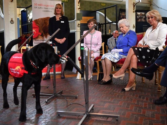 It isn't just pure breed Corgis that Her Majesty owned over the years. She also owned several Dorgis (Dachshund-Corgi mixes) throughout her reign, as well as a Cocker Spaniel called Lissy.