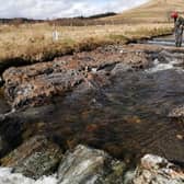 Loch Lomond Fisheries Trust is one of five groups sharing £120,000 of funding for projects aimed at boosting declining wild salmon and sea trout populations across Scotland -- it will use a grant of £22,190, from the Scottish fish farming industry, to address tree canopy, in-stream cover and bank erosion issues at 15 sites in five burns across the catchment area