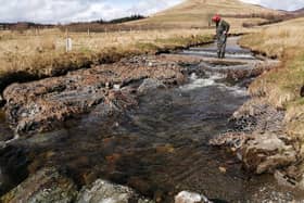 Loch Lomond Fisheries Trust is one of five groups sharing £120,000 of funding for projects aimed at boosting declining wild salmon and sea trout populations across Scotland -- it will use a grant of £22,190, from the Scottish fish farming industry, to address tree canopy, in-stream cover and bank erosion issues at 15 sites in five burns across the catchment area