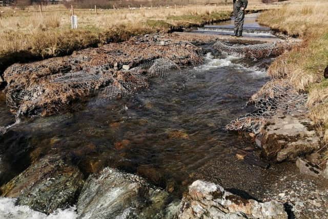 Loch Lomond Fisheries Trust is one of five groups sharing £120,000 of funding for projects aimed at boosting declining wild salmon and sea trout populations across Scotland -- it will use a grant of £22,190, from the Scottish fish farming industry, to address tree canopy, in-stream cover and bank erosion issues at 15 sites in five burns across the catchment area