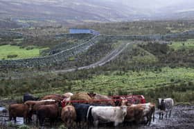 Industry leaders are calling for tenant farmers to have better access to environment schemes for landowners (pic: Lisa Ferguson)