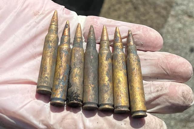 Deadly haul: Seven large calibre bullets found in the Union Canal
