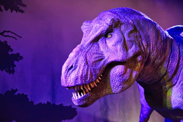 Natural History Museum