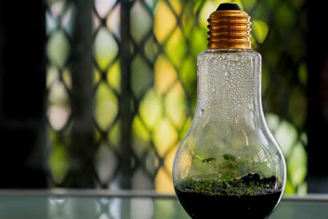 Not in the mood to buy a fishbowl? Even an old lightbulb can be converted into a beautiful terrarium.