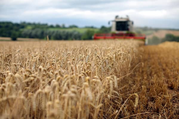 Heavy rain has hit arable farmers in the UK particularly hard (Picture: Christopher Furlong/Getty Images)