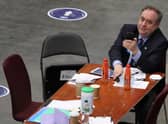 Did the Alba Party, led by former first minister Alex Salmond, have any impact on the final results?