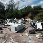 Murdo Fraser was wants fresh action to tackle fly-tipping