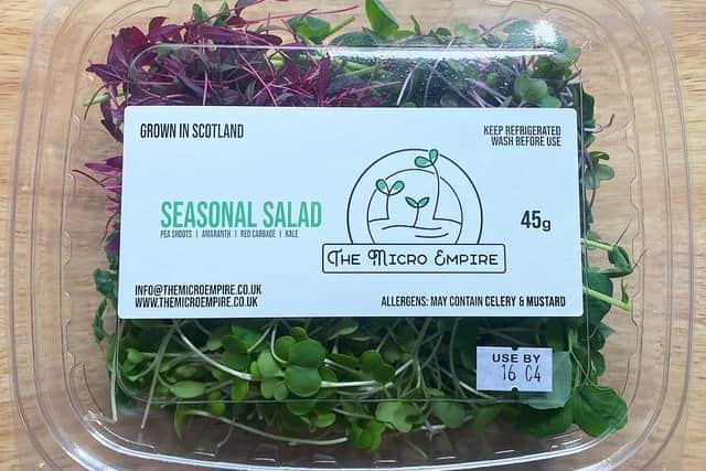 Seasonal salad from The Micro Empire