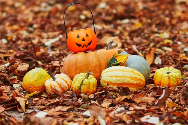 Halloween is thought to be a modern version of the ancient festival of Samhain. Photo: Jaspe / Canva Pro.