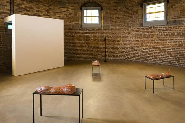 Installation view of the Tarek Lakhrissi exhibition at Collective PIC: Eoin Carey