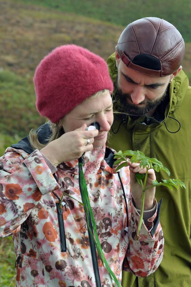 Foragers explore the rich, wild coastal landscapes on Orkney as part of Foraging Fortnight 2019