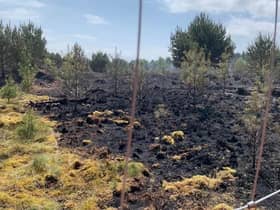 The damage done by a wild fire at Tentsmuir (Pic: Forestry and Land Scotland)