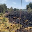 The damage done by a wild fire at Tentsmuir (Pic: Forestry and Land Scotland)