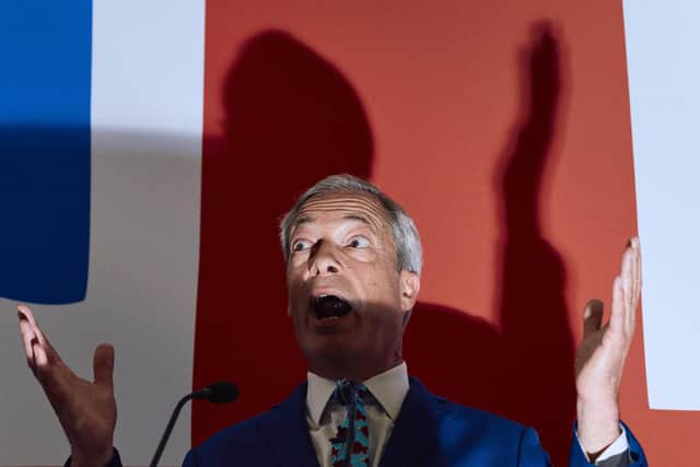 Reform UK party leader Nigel Farage hopes to become Prime Minister in 2029 (Picture: Benjamin Cremel/AFP via Getty Images)