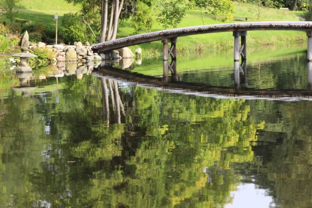 The Yatsuhashi bridge, The Japanese Garden, Cowden, near Dollar. Pic: Fiona Laing