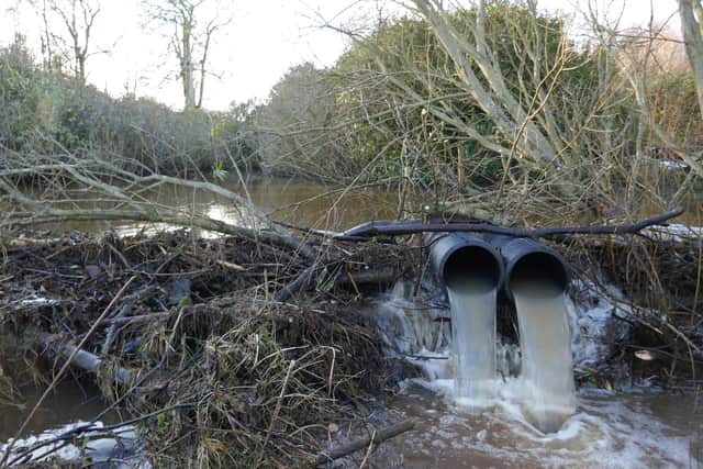 Beavers build dams and damage trees, which has brought an unauthorised population in Tayside into conflict with local farmers