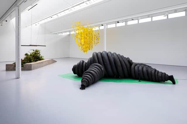 Installation view of In the Forest Ruins by Adrián Balseca at DCA
