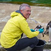Scottish Liberal Demcrat leader Willie Rennie meets the penguins at Edinburgh Zoo on the Holyrood campaign trail