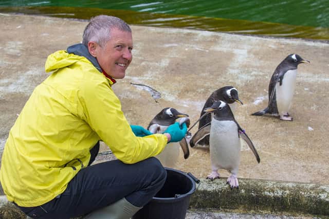 Scottish Liberal Demcrat leader Willie Rennie meets the penguins at Edinburgh Zoo on the Holyrood campaign trail