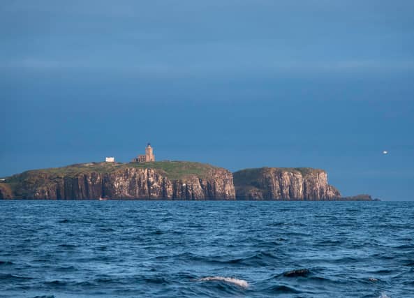 The Isle of May
