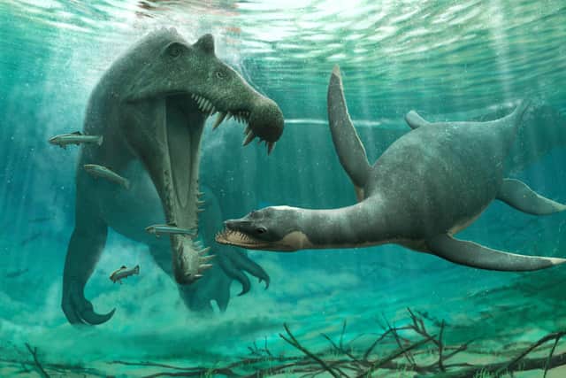 An illustration of a plesiosaur  evading a larger predator. Research has suggested that plesiosaurs - which have routinely inspired depictions of the Loch Ness Monster - may have lived in freshwater rather than solely sea water environments. PIC: Dr Nick Longrich.