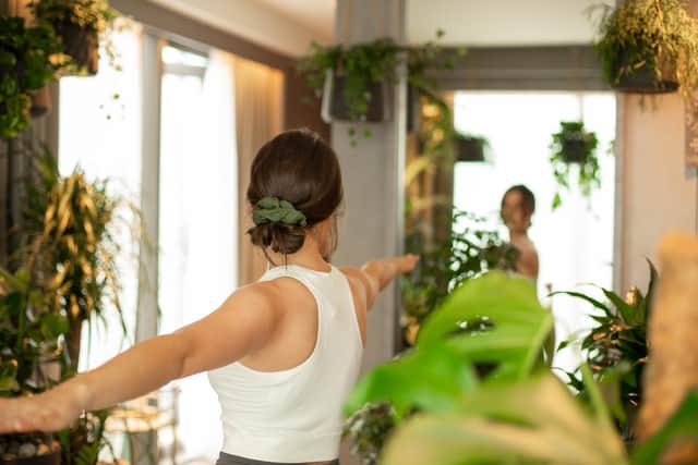 Guests in La Chambre Verte will be able to enjoy cannabidiol cocktails while 'immersed' in nature and sign up for spa treatments such as guided meditation