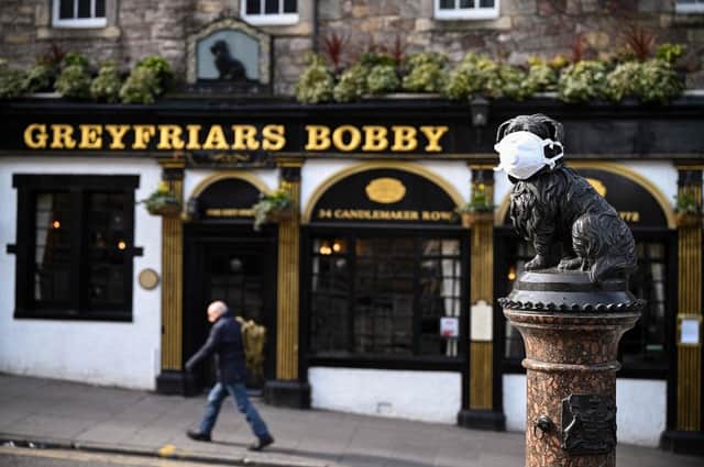 A statue, suitably attired for the age of Covid, of Greyfriars Bobby whose smart descendants may be plotting against humans, given the mess we've been making of the planet (Picture: Jeff J Mitchell/Getty Images)
