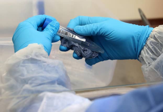 A laboratory technician wearing full PPE (personal protective equipment) cleans a test tube containing a live sample taken from people tested for the novel coronavirus.