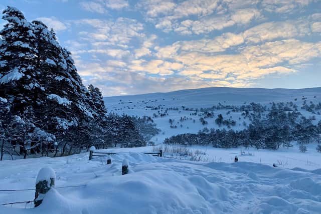 Photos shared by a resident in Braemar where the village has seen 70cm at least of snowfall picture: supplied