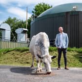 Josh Riddett from Easy Crypto Hunter at a farm where animal waste is being used to power a cryptocurrency mine. PIC: SWNS.