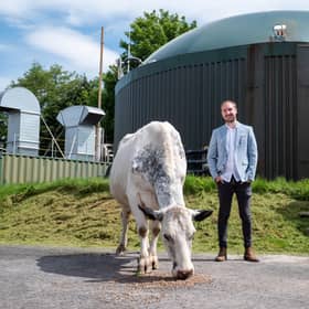Josh Riddett from Easy Crypto Hunter at a farm where animal waste is being used to power a cryptocurrency mine. PIC: SWNS.