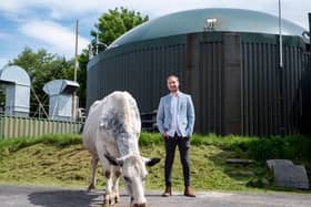Josh Riddett from Easy Crypto Hunter at a farm where animal waste is being used to power a cryptocurrency mine. PIC: SWNS.