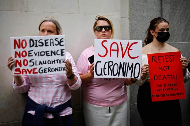 Protesters hold up placards as they gather outside the Department for Environment, Food and Rural Affairs to protest against the decision to euthanize "Geronimo", an alpaca which has tested positive for bovine tuberculosis.