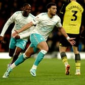 Che Adams was on target for Southampton as they drew 1-1 with Ryan Porteous' Norwich.