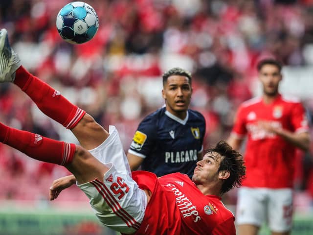 Benfica's Paulo Bernardo has been linked with a move to Celtic on loan.