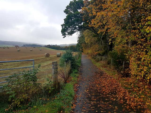 The Scottish Land Commission's 45-minute sessions will aim to stimulate practical change in how land is owned, used and managed.