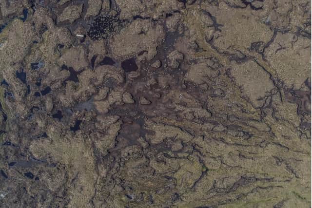 In a degraded condition peatlands release greenhouse gas emissions into the atmosphere, further driving global warming -- around 80 per cent of Scottish bogs are thought to be in a bad state, coming in at number five among the country’s biggest emitters