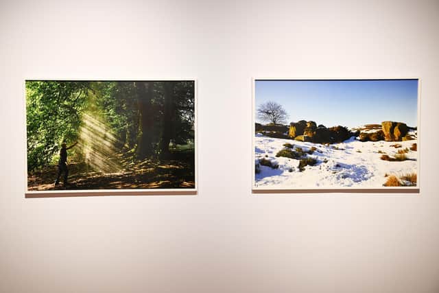Work by Andy Goldsworthy at the Deep Rooted exhibition at Edinburgh’s City Art Centre PIC: Greg Macvean