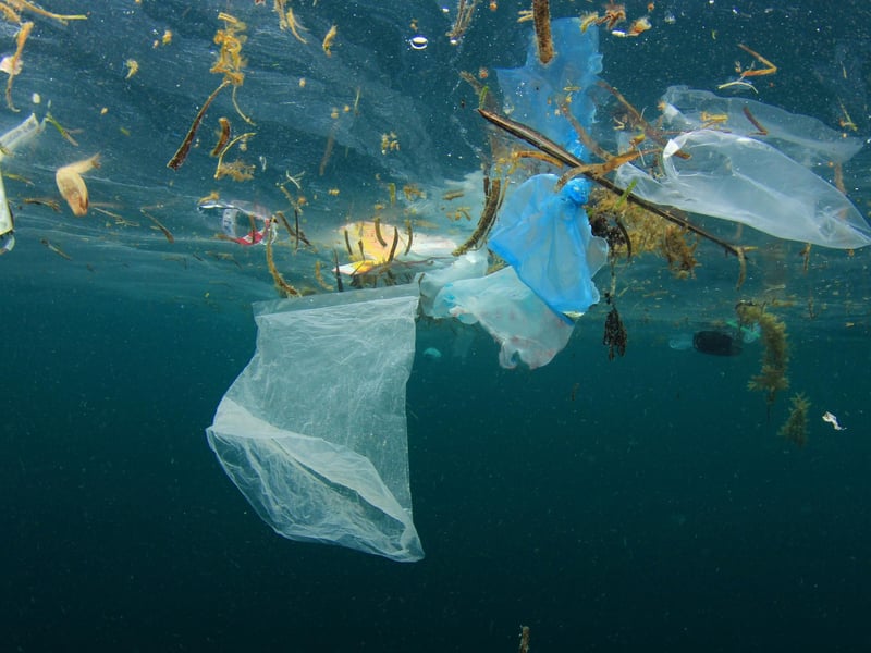 “It’s absurd to suggest we can do totally without plastic but there are so many areas where we use plastic without a thought.”