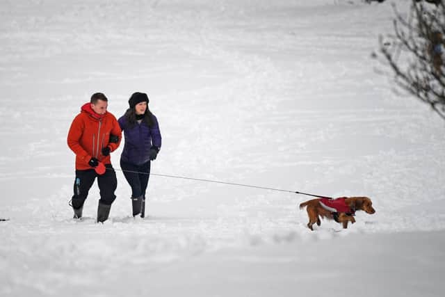 It is possible temperatures will plunge further next week, Mr Burkill said, and there is “very much a possibility” of a Beast from the East 2 in the “middle of next week”. (Photo by Jeff J Mitchell/Getty Images)