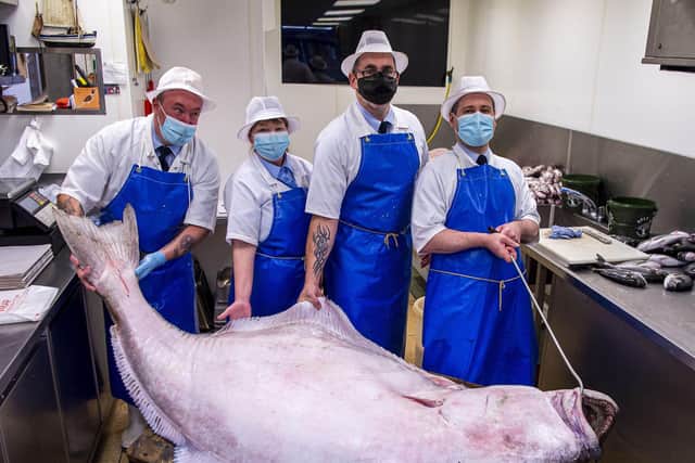 PIC LISA FERGUSON 14/09/2021
Gary Huckle, armstrong's fishmonger, stockbridge
130kilo halibut caught by the Aquarius off the west coast. Be on display in the shop from Tuesday am
l-r GARY HUCKLE, LYN BRYCE, DAVID SHAND, ZOLTAN ANTAL