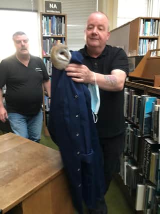 Cleaner rescues barn own at Central Library