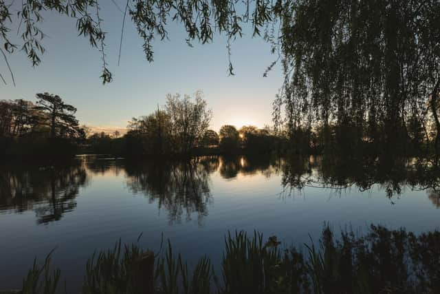 The lake is home to a wide array of waterfowl and fish