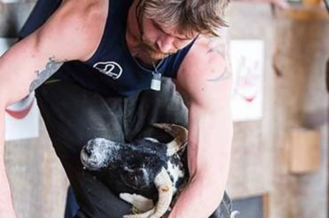 Sheep shearing is always a popular event at The Royal Highland Show, Ingliston, Edinburgh Pic: RHS