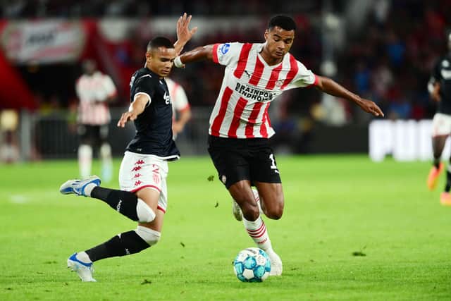 PSV's star winger Cody Gakpo is set to face Rangers after a transfer move was put on hold until after the upcoming Champions League play-off. (Photo by OLAF KRAAK/ANP/AFP via Getty Images)