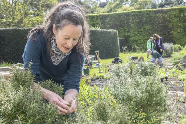 Course Director for the Royal Botanic Garden Edinburgh’s Herbology diploma, and author, Catherine Conway Payne.