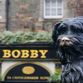 Greyfriars Bobby and his statue have drawn international recognition