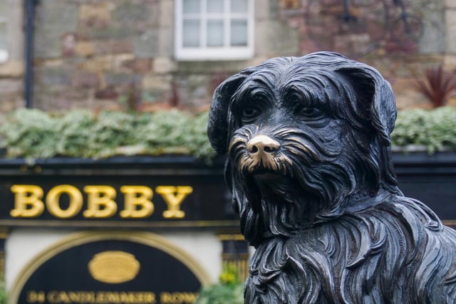 You can find Bobby on George IV bridge close to Chambers Street in Edinburgh. A memorial to the dog that was truly man’s best friend, it reads: “A tribute to the affectionate fidelity of Greyfriars Bobby. In 1858 this faithful dog followed the remains of his master to Greyfriars Churchyard and lingered near the spot until his death in 1872.”