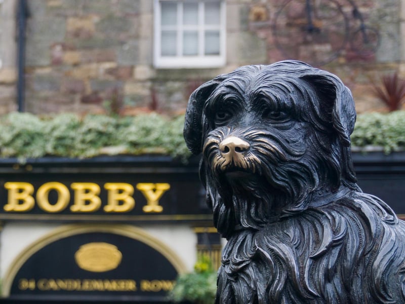 You can find Bobby on George IV bridge close to Chambers Street in Edinburgh. A memorial to the dog that was truly man’s best friend, it reads: “A tribute to the affectionate fidelity of Greyfriars Bobby. In 1858 this faithful dog followed the remains of his master to Greyfriars Churchyard and lingered near the spot until his death in 1872.”