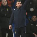 St. Johnstone boss Callum Davidson. (Photo by Paul Devlin / SNS Group)